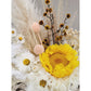 A striking dried & preserved flower arrangement featuring a yellow sunflower, pampers grass and daisies and set in to a grey cement pot. Picture shows a close up view of the flowers