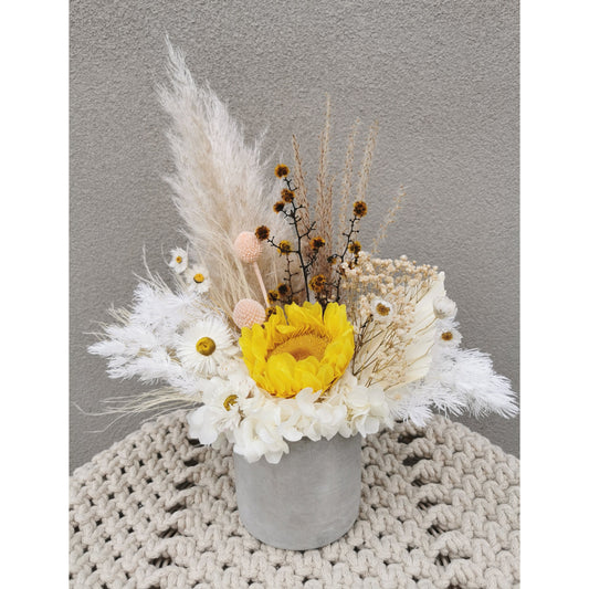 A striking dried & preserved flower arrangement featuring a yellow sunflower, pampers grass and daisies and set in to a grey cement pot. Picture shows the arrangement sitting on a table against a blank wall