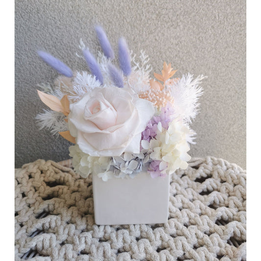Pastel coloured dried & preserved flower arrangements in white cube pot. Features a soft pink preserved rose. Picture shows arrangement sitting on a table against a blank wall.
