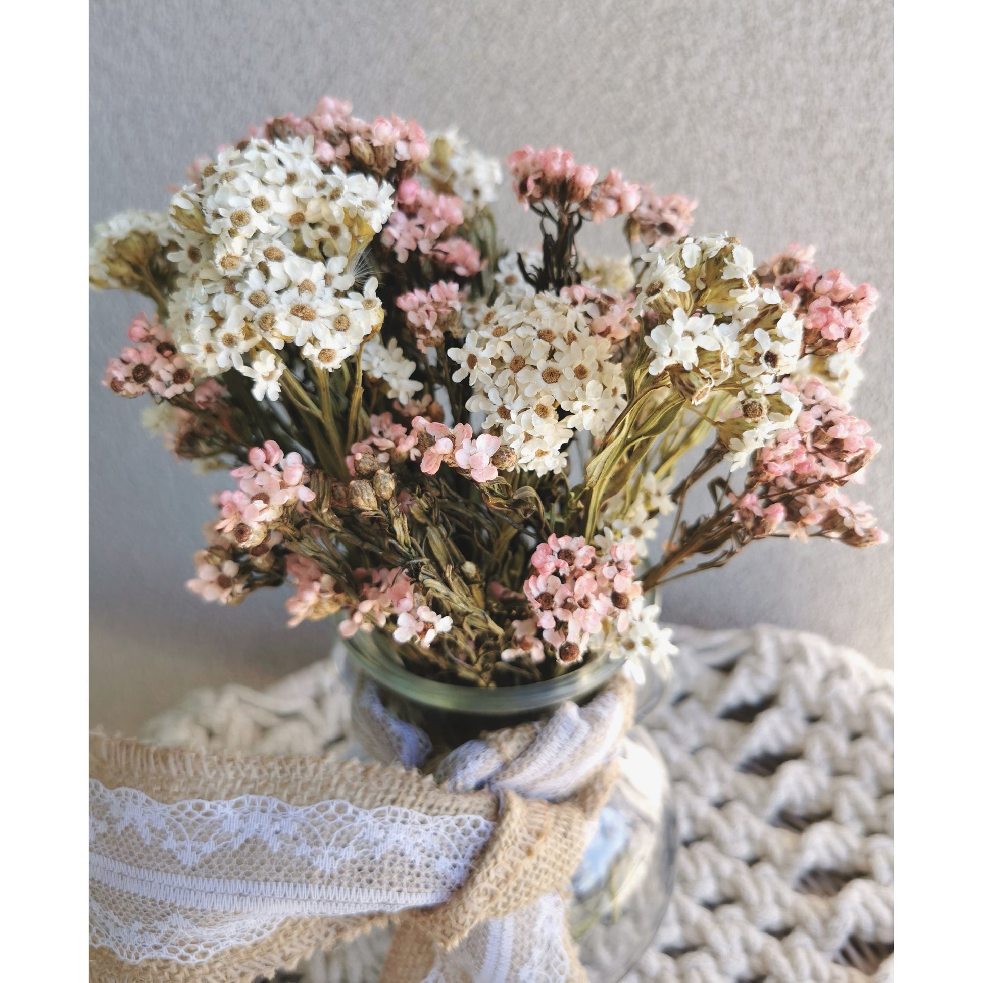 Dried pink & white oxeye daisy flowers in glass vase with lace hessian ribbon weaved through handles of vase. Picture shows arrangement sitting on table against a blank wall with a close up view of the flowers