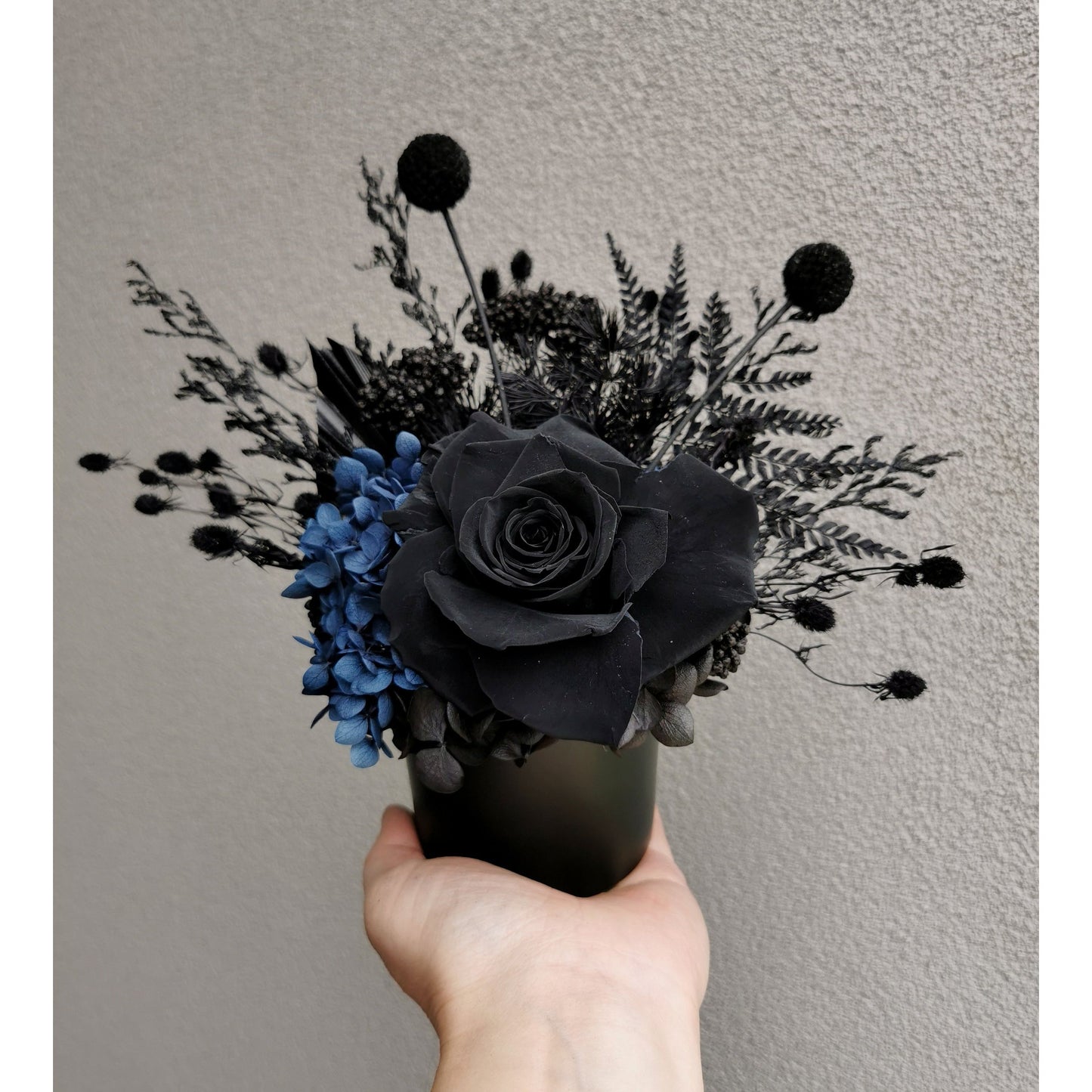 Black & Navy Blue dried flower arrangement in black round pot. Picture shows arrangement held up by hand against a blank wall 