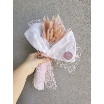 Dried Bunny Tail Bunches (wrapped) - various colours available