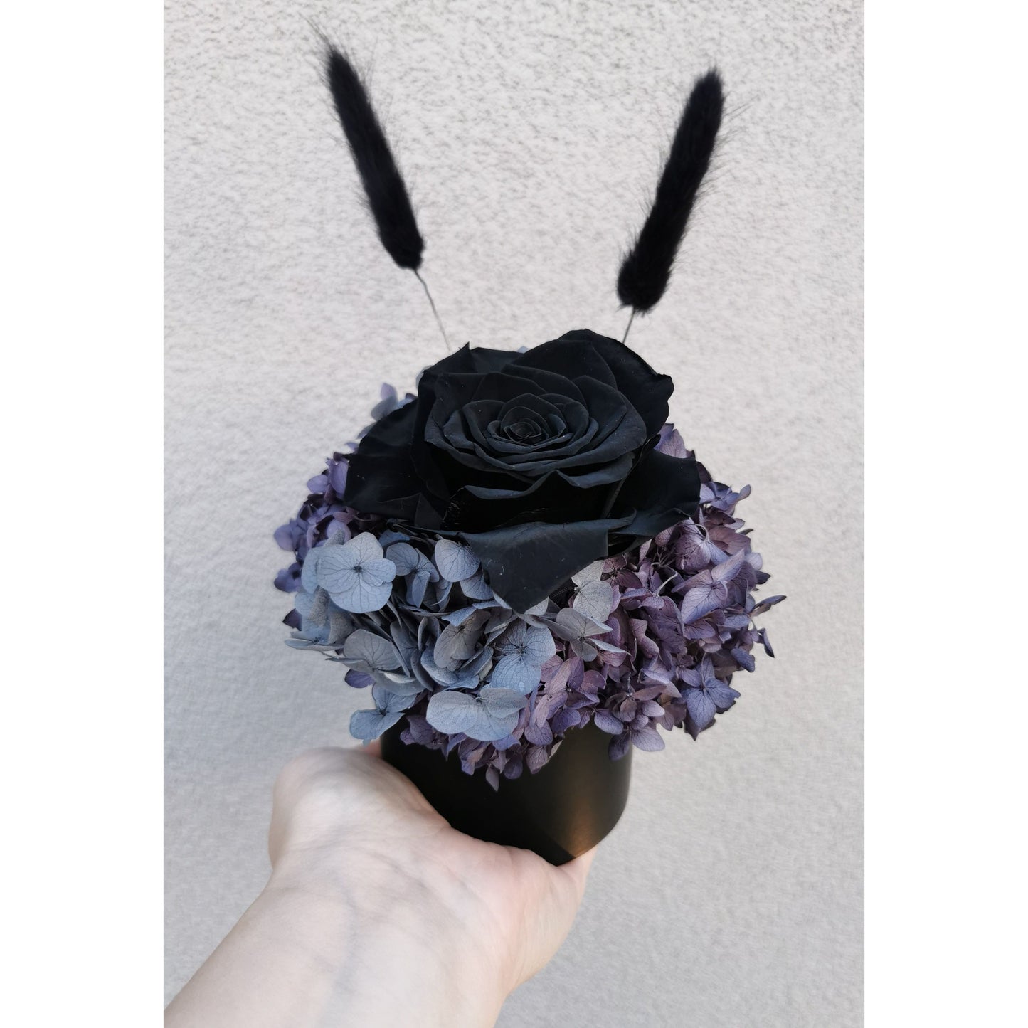 Black, grey & purple dried & preserved flower arrangement in mini black pot featuring a black rose and black bunny tails. Photo shows arrangement being held up by hand against a blank wall