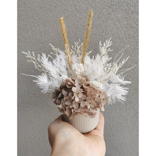 Neutral dried & preserved flowers in mini ribbed pot. Photo shows arrangement being held by hand against a blank wall