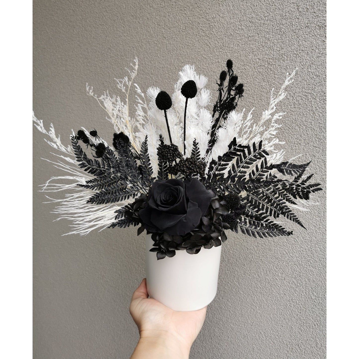 Black & White dried & preserved flower arrangement with a black rose and set in to a white pot. Photo shows the arrangement being held by hand against a blank wall