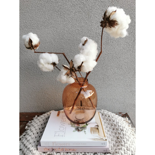 2 all natural cotton stems standing in an amber coloured vase
