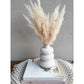 Plumes of soft pampas grass coming out of a white bubble vase. Photo shows pampas in vase sitting on books against a blank wall